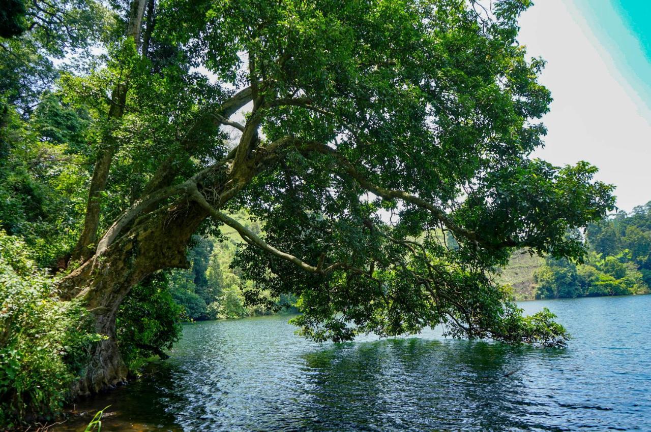 Lake Nyamirima Cottages Fort Portal Kültér fotó